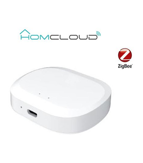 Centralina intelligente Hub - Zigbee+Bluetooth