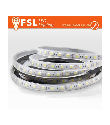 Striscia LED 5m IP65 5050 24V - 12W/m 60led/m 4000K