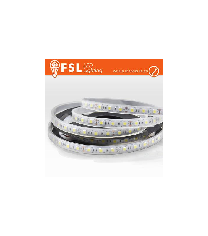 Striscia LED 5m IP65 5050 24V - 12W/m 60led/m 3000K