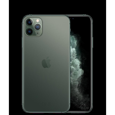 Apple iPhone 11 Pro 256G Green Usato Garanzia 1 Anno Grado A