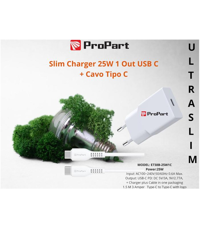 Slim Carica Batterie + Cavo Tipo C 25W 1 Out USB C