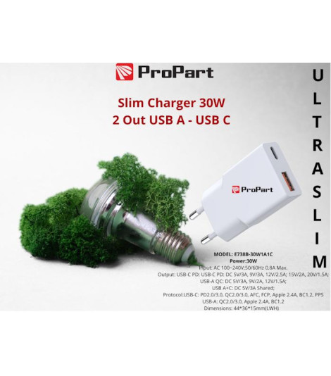 Slim Carica Batterie 30W 2 Out USB A - USB C