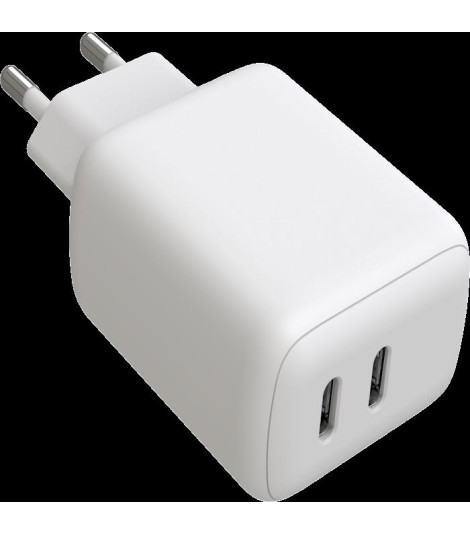 Carica Batterie 45W 2 Out USB C