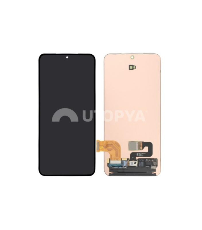 Galaxy S24 (S921B) Schermo intero (senza cornice)